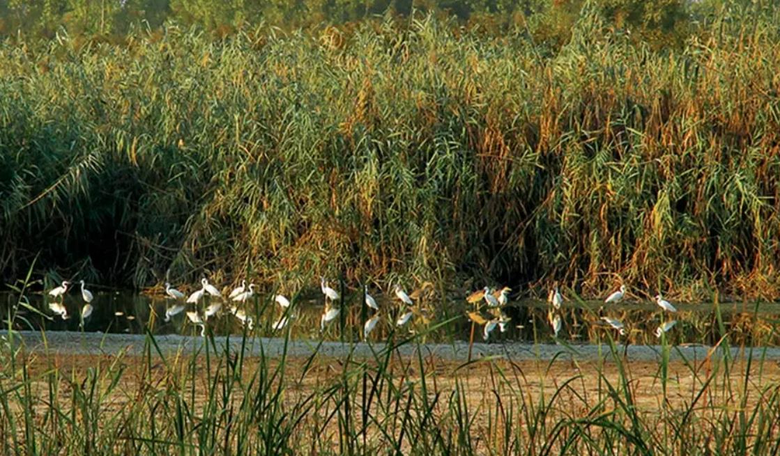 خشکبیجار